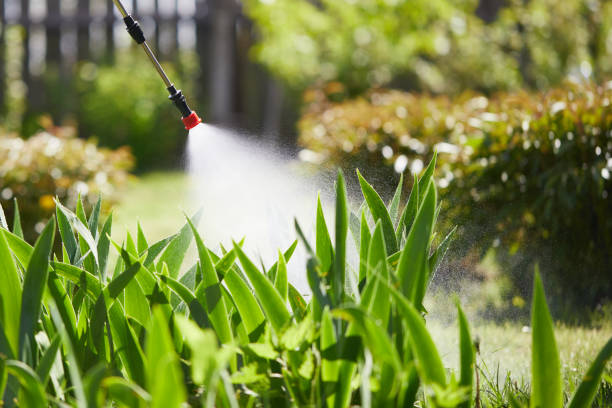24/7 Emergency Wasp Removal experts in Unionville, TN